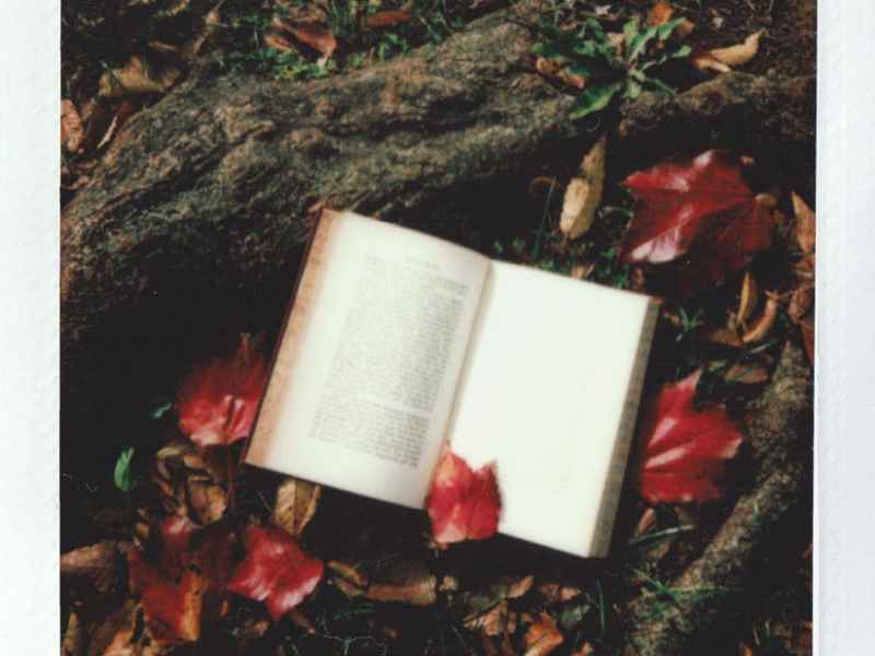 My Twenty Favourite Books from 2019 (Part&nbsp;One)